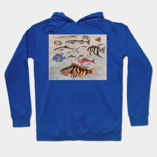 Saltwater Fish of the Sea Hoodie